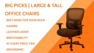 Best Large & Tall Office Chairs