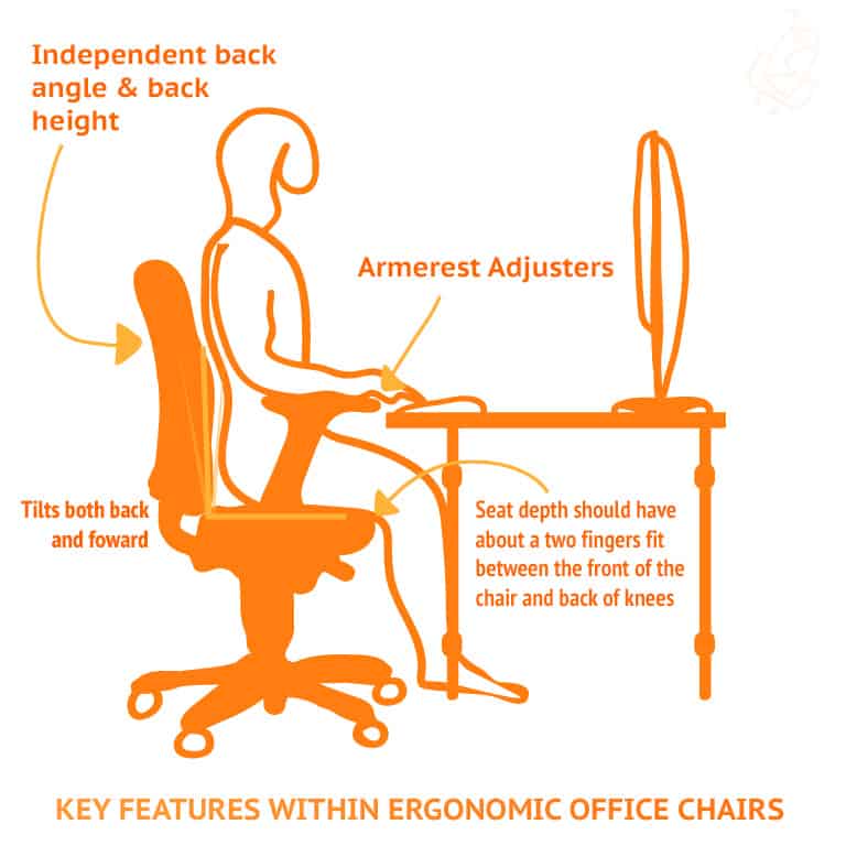 Key Features Within Ergonomic Office Chairs